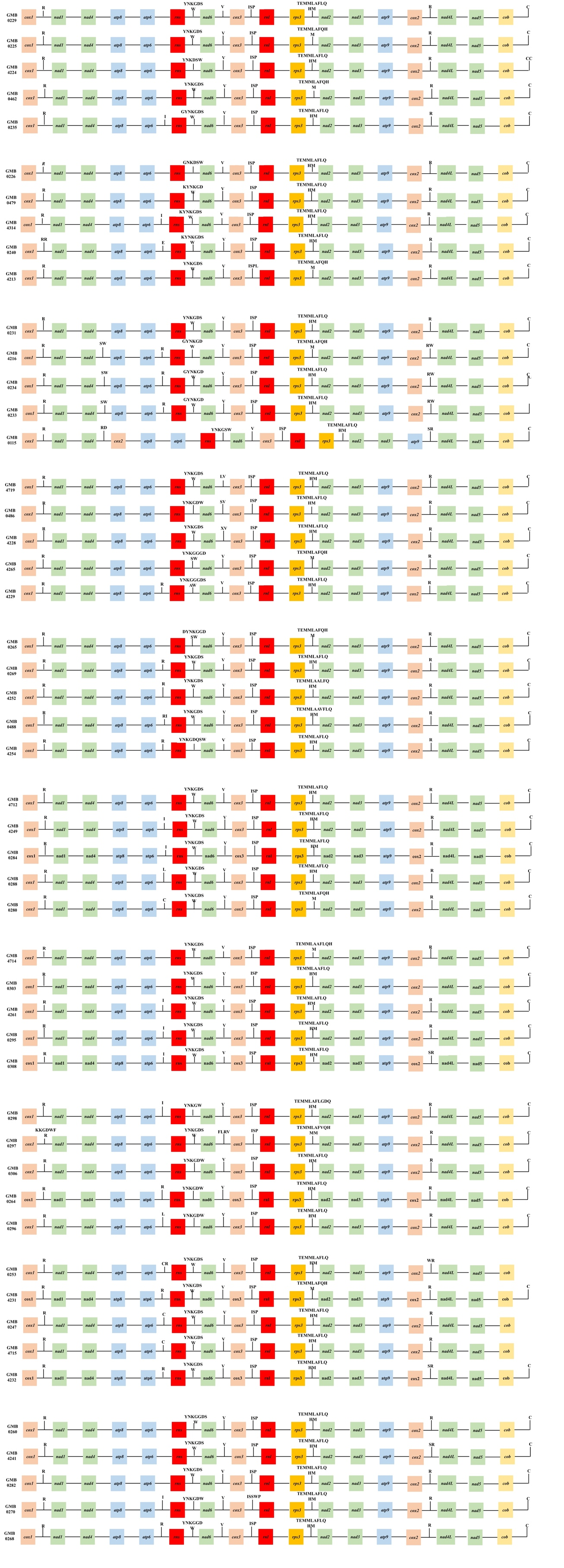 Figure 26